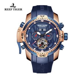 Reef Tiger/RT Sport Watch Men Waterproof Luminous Perpetual Calendar Automatic Mechanical Watches Clock RGA3532-PLLR